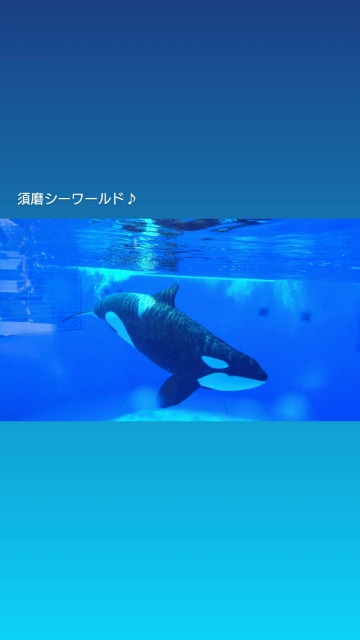 タニャ さま
