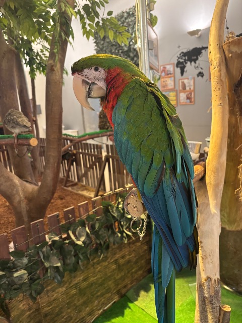 たらちゃん さま