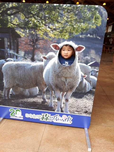 けんしん1110 さま