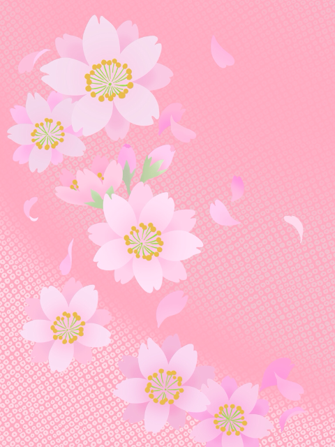 八重桜 さま
