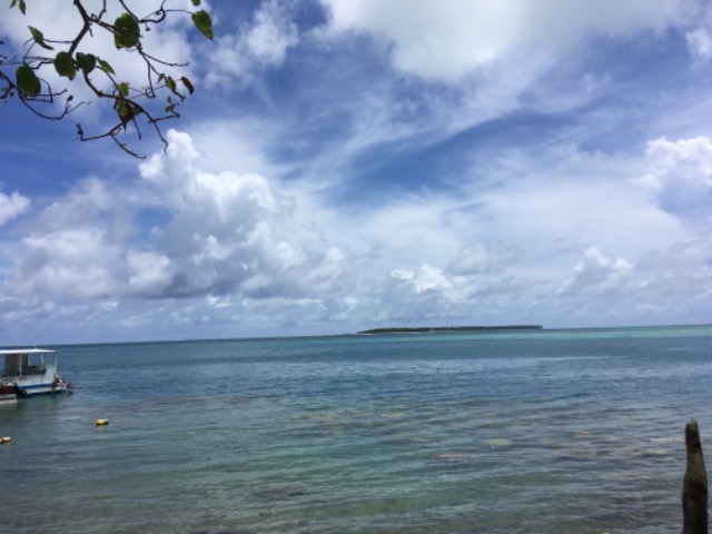 ブラザーnyc さま