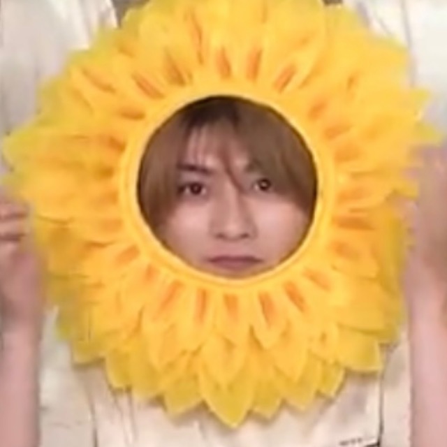 のーちゃん さま