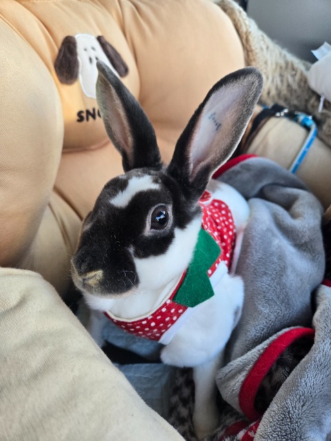 まろんぱん さま