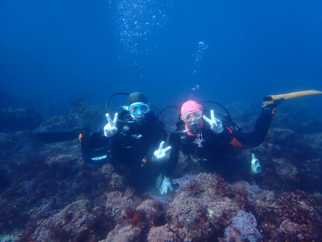 えびのふらい さま