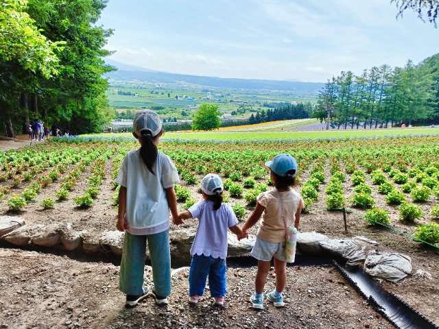 3姉妹マミー さま