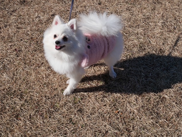 TERUアソビュー！ゲスト さま