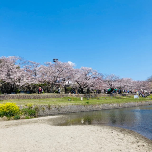 おかあたま さま