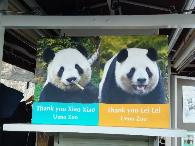 ちぃパンダ さま