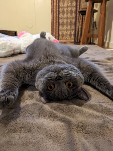 あびちゃん さま