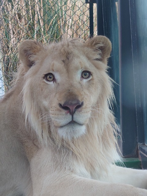 ひろちゃん さま