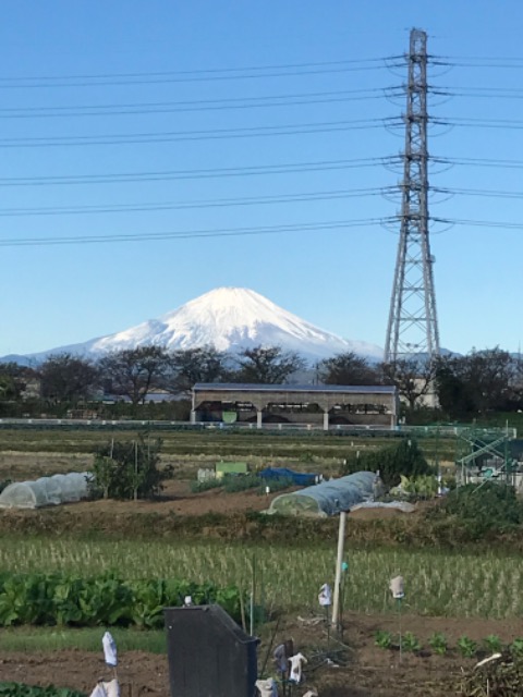 アベビュー さま