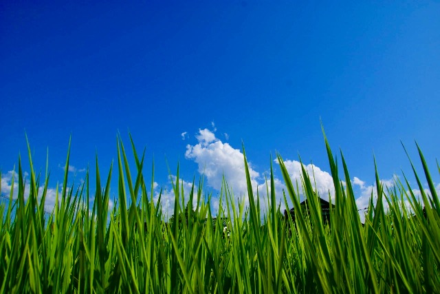 アソビュー！ヤマモト さま