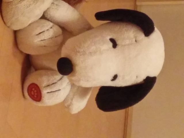 ポニーくん さま