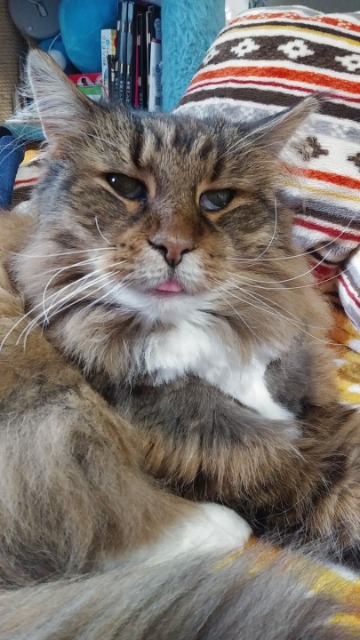 までぃ姉さん さま