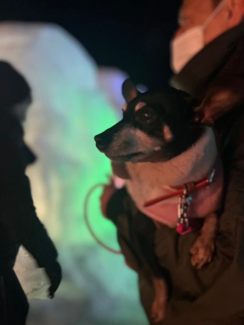 リボン&もも さま