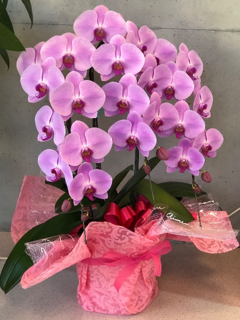 タカちゃん さま