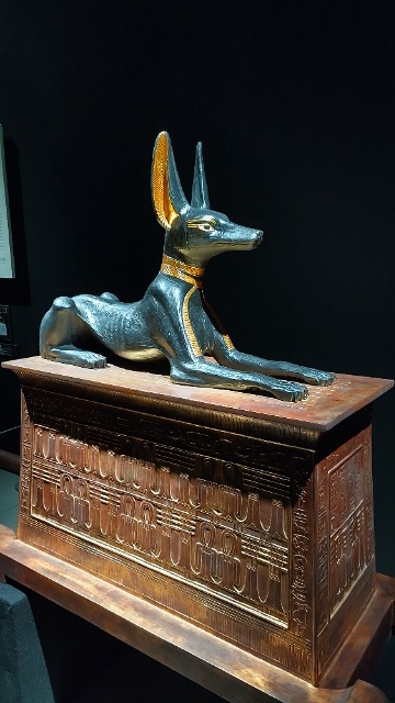 あんずさん さま