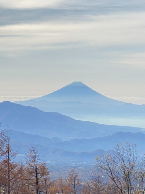 竹の子 さま