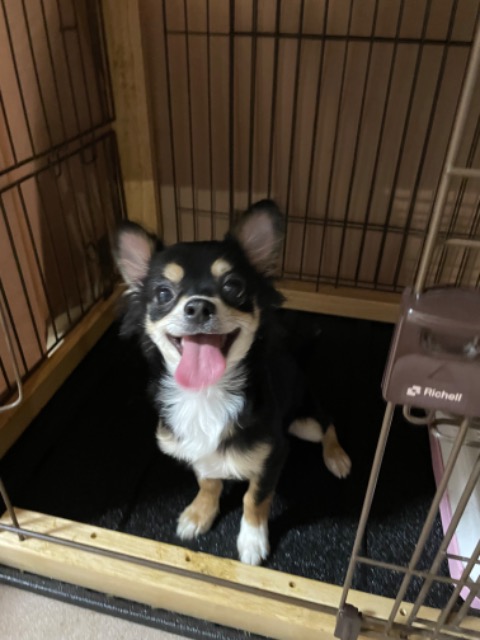 アソビュー！くみこ！ さま