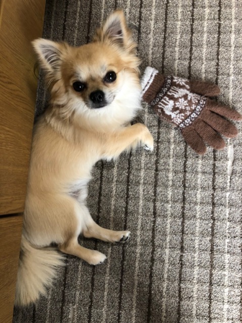 与作ちゃん さま