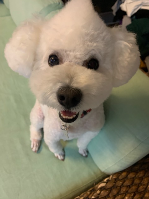 れいこさーーーーーん さま