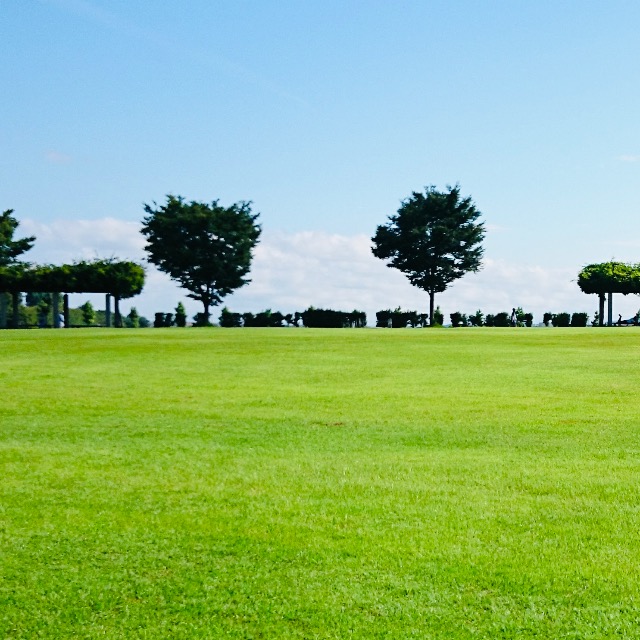 きよとはちよと さま