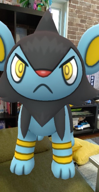 後藤さやか さま